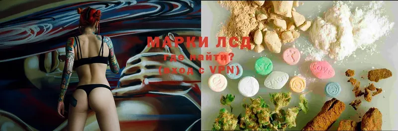 как найти   Балей  блэк спрут онион  Лсд 25 экстази ecstasy 